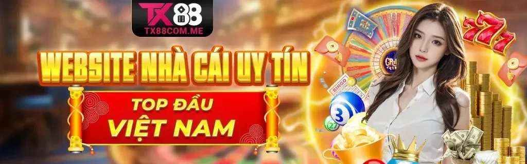Hình ảnh văn bản pháp lý minh họa các điều khoản dịch vụ của 88x
